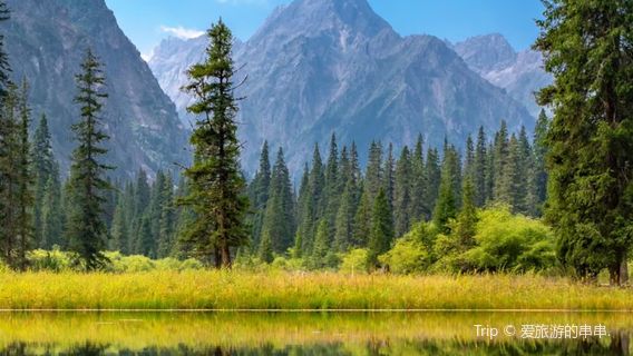 wang lang jing qu gan hai zi