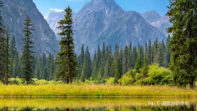 wang lang jing qu gan hai zi