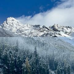 ZA QI ZA BA NIU ZA TANG GUO User Photo