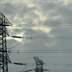 ZHENG XI WANG User Photo