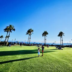 Seneca Trattoria張用戶圖片