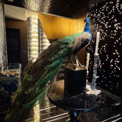 喜筵28·精细潮粤菜(五大道王府店) User Photo