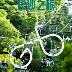 Tang you ba ba User Photo