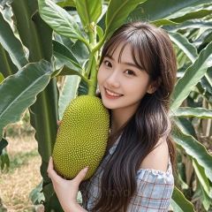 YUE BAI HAI User Photo