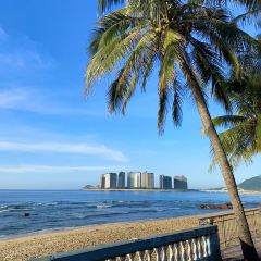 PAN XIAN SHENG HAI XIAN CHENG User Photo