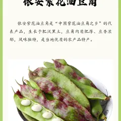 绿色干豆角家常菜 여행 사진