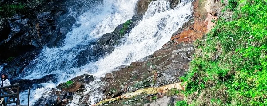 Tashan Grand Canyon