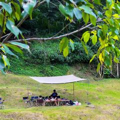WTF Coffee Camp User Photo