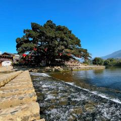 云水瑶(福满地花园店) User Photo