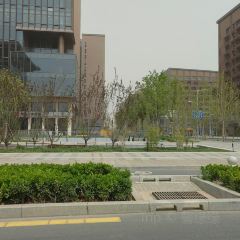 星巴克(保定雄安市民服务中心店) User Photo