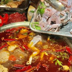 笑禅土豆腐梭边鱼(五里店) User Photo