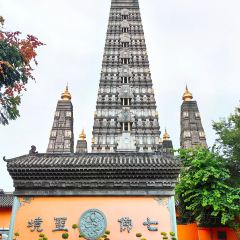 紀鍋盔張用戶圖片