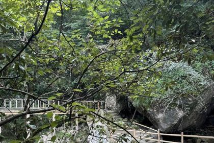 罗田天堂寨吊锅(英山店)