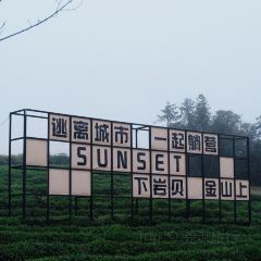 云卷云舒咖啡馆 User Photo