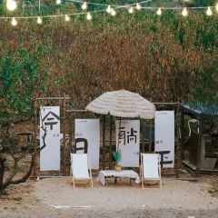 东篱山庄 User Photo
