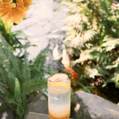 chill cafe User Photo