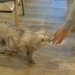 物也張用戶圖片