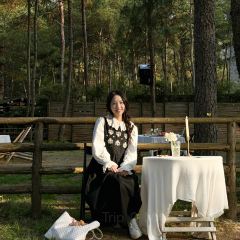 MOJ coffee(楠溪江石柱店) User Photo