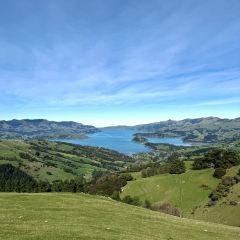 Akaroa Fish & Chips User Photo