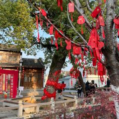五弟嫂酒釀茶飲店張用戶圖片