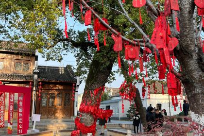 五弟嫂酒釀茶飲店