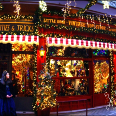 Little Kook User Photo