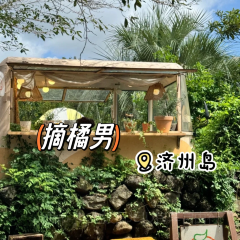 감따남 착한농장 여행 사진