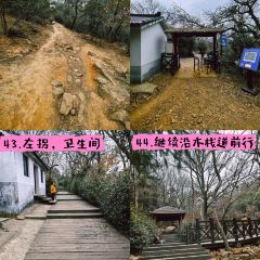 清雅茶苑(山湾里店) User Photo