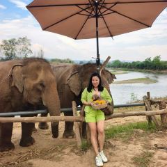 Elely Cafe’ แอลลี่ คาเฟ่張用戶圖片