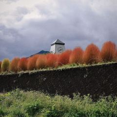 Lake Bake User Photo