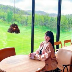 1피트 가든 여행 사진