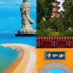 张林阿山姜母鸭(泉州新华北路店) User Photo