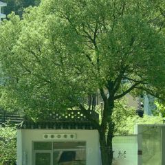 Qin Restaurant User Photo