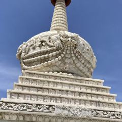 Laosuiyuan Shaomai (Dazhao) User Photo