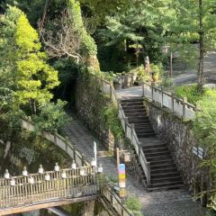 西岭驿游人服务中心西岭小厨 User Photo