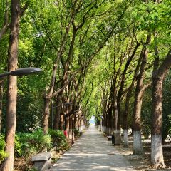 XIANG YUAN User Photo