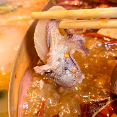 小象园子·版纳牛肉铜锅(麓湖店) User Photo