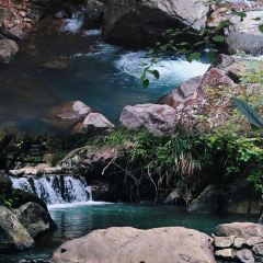 云起草堂(白云山森林公园店) User Photo