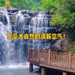 云起草堂(白云山森林公园店) User Photo