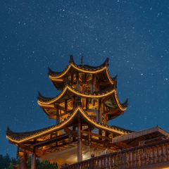 一山树屋咖啡营地 User Photo