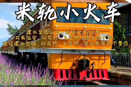 大板井