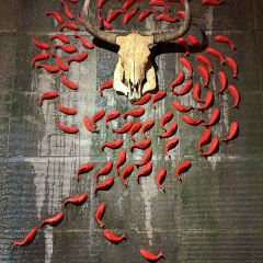 土王府 User Photo