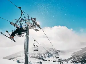 Snowy Mountains