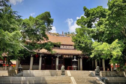 张林阿山姜母鸭(泉州新华北路店)