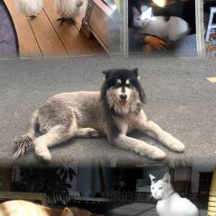 乌鲁木齐县大山小舍民宿·大山咖啡(BAR) User Photo