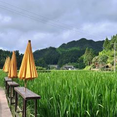花筑·景宁雲中自在居(云中大漈店)·农家特色饭店 User Photo