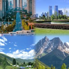 TOMATO MASTER User Photo