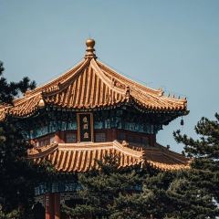 老梁记甜沫肉火烧(吴兴路分店) User Photo