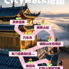 Dongmendoufunao User Photo