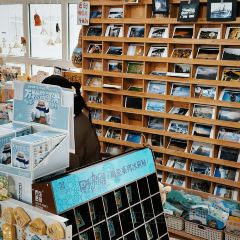 阿勒泰的角落(旅行书吧) User Photo